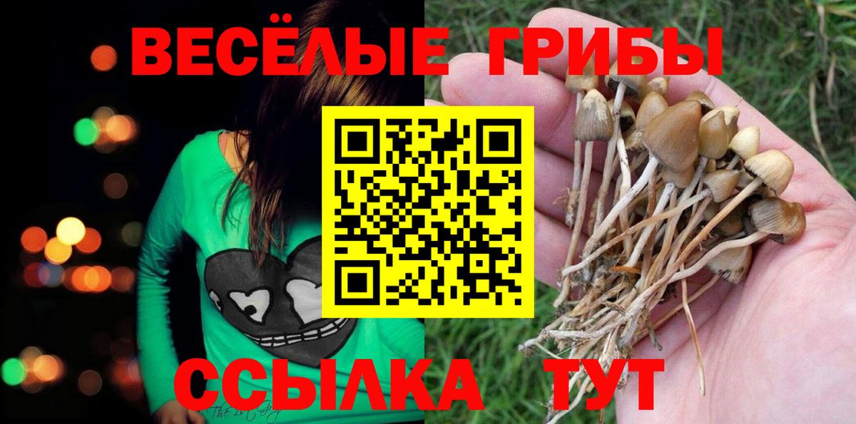 Псилоцибиновые грибы Cubensis  Вход с VPN  Елизово 