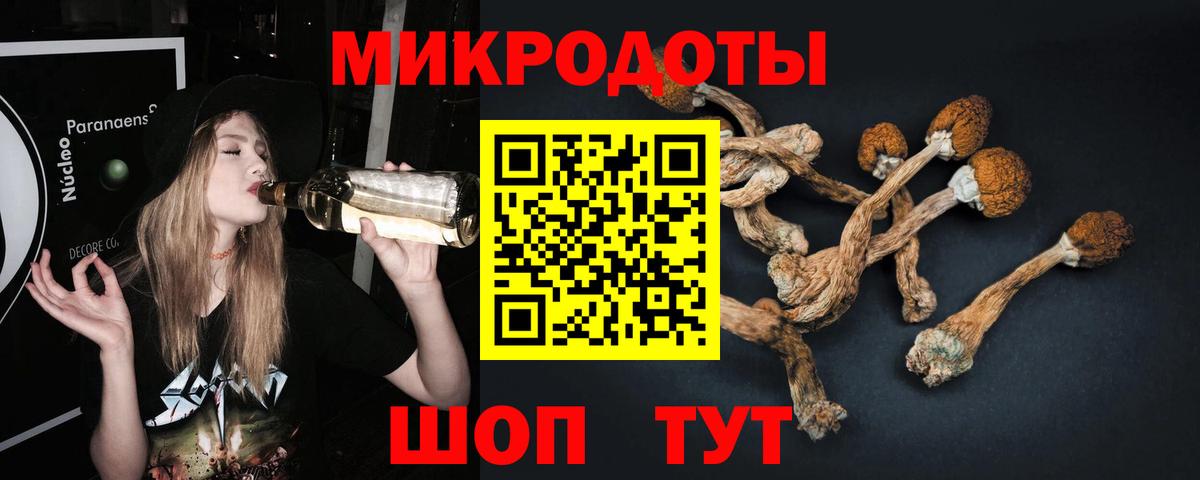 Галлюциногенные грибы ЛСД Елизово